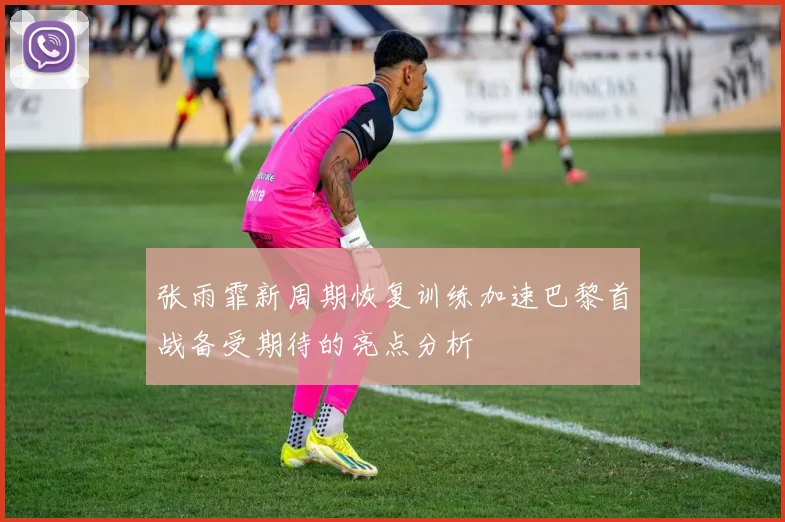 张雨霏新周期恢复训练加速巴黎首战备受期待的亮点分析