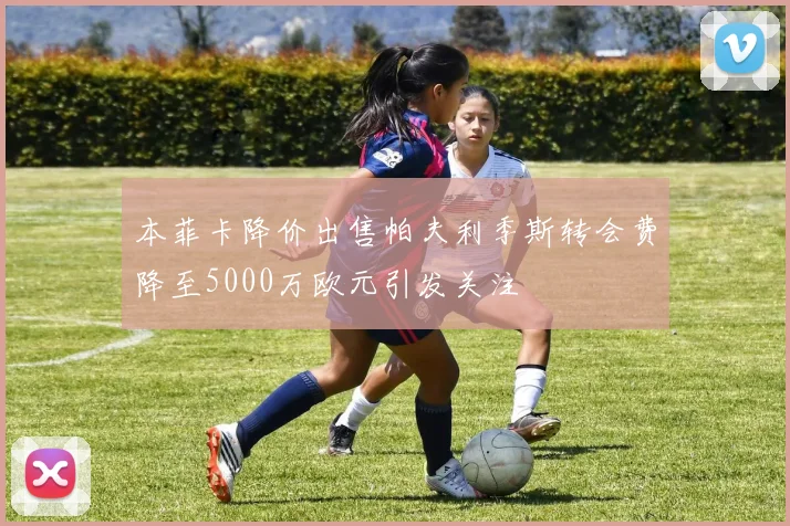 本菲卡降价出售帕夫利季斯转会费降至5000万欧元引发关注